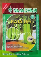 benih terong raja ijo f1,terong raja ijo f1,terong hijau,lmga agro,namdhari seeds indonesia