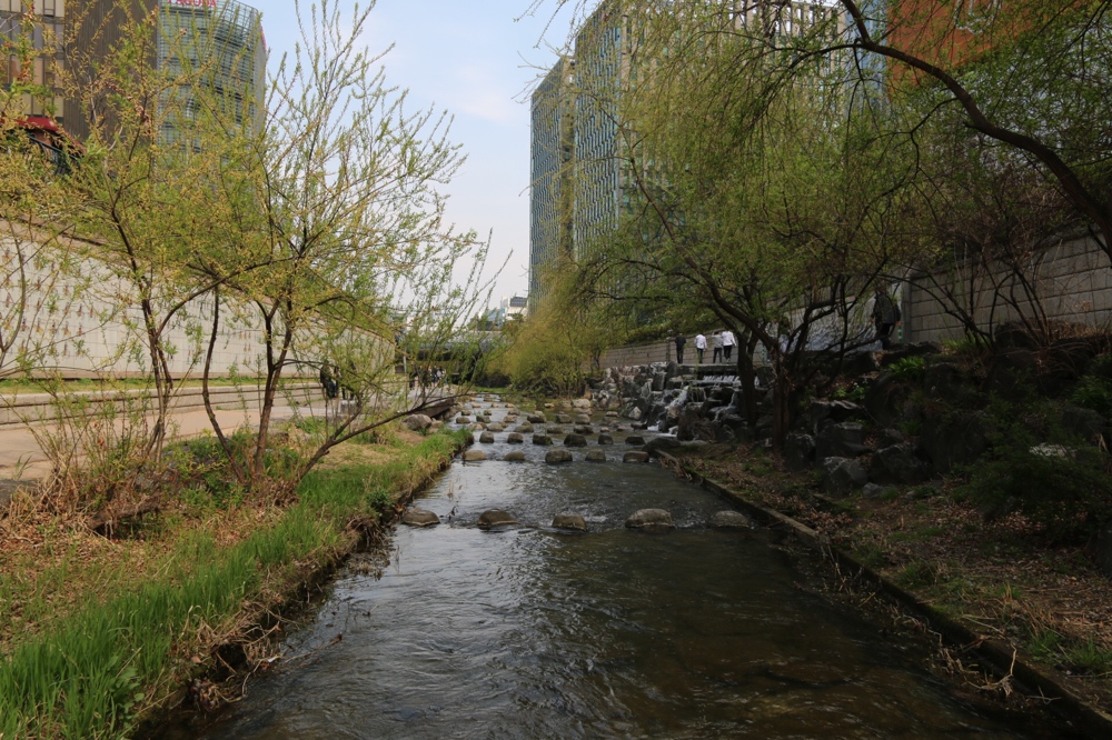 River project