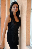 Nikitha Narayan Hot New Photos