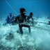 A breathtaking underwater freediving video shows the Philippines stunning diving spots