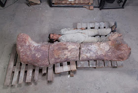 Fémur del Patagotitan mayorum