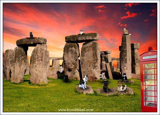 The B Team's Sunset at Stonehenge Selfie ©BionicBasil® Sunday Selfies Blog Hop