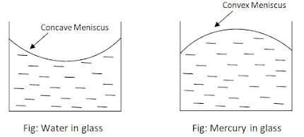 fluid statics (hydrostatic)