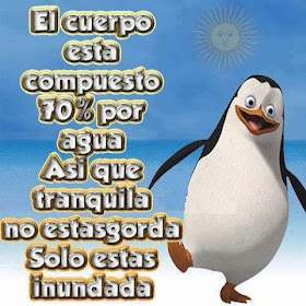 El cuerpo esta compuesto por el 70 porciento por agua, asi que tranquila no estas gorda, solo estas inundada