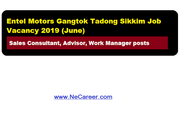 Entel Motors Gangtok Tadong Sikkim Vacancy 2019 (June)