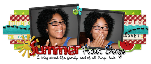 Summer Hair Days Blog Design