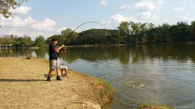 Catching the Giant Mekong Catfish at Bo Sang Fishing Park