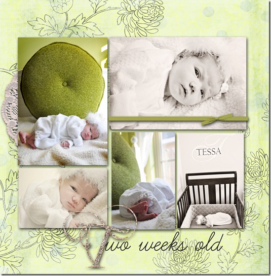 2 weeks old 2 copy