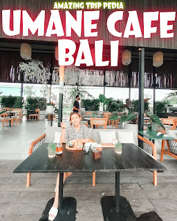 Menikmati Keindahan Umane Coffee Ubud Bali