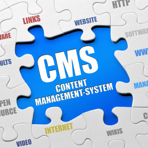 cms features, cms design, cms development