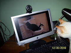 Lucky watches Utube