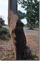 4_Cambodia_Banteay_Torp_DSC_0643
