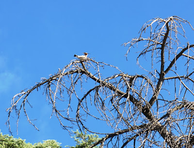 Parque Aluche