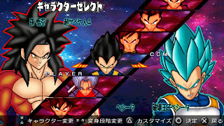 DRAGON BALL Z SHIN BUDOKAI 3