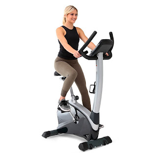 3G Cardio Elite UB Upright Exercise Bike, image, review features & specifications