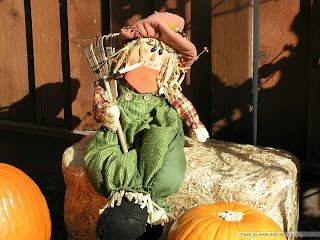 Halloween Scarecrow Wallpapers