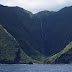 La Monsanto mette il suo zampino di morte anche alle Hawaii.