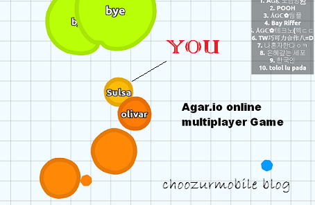 Agar.io Online Multiplayer Game