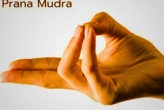 What is Yoga Mudra? A Guide to Names and Benefits