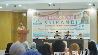 Dinas Perpustakaan Luwu Melakukan Sosialisasi Aplikasi Srikandi