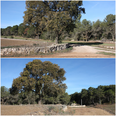 SANT MAGÍ DE LA BRUFAGANYA A LA BISBAL DEL PENEDÈS PR-C-224 AMB VARIANTS, Carrerada de Pontons