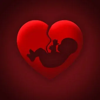 Bebê Coração Útero O Aborto Batimento Cardiaco