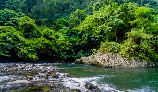 Keindahan Alam Bukit Lawang Wisata Terbaik di Sumatera Utara