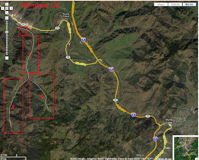 Willis Creek Eucalyptus Tree Farm, Winston, Oregon / Eucalyptus in Oregon / Lee O. Hunt / Eucalyptus in the Pacific Northwest / GIT Forestry Consulting, Consultoría y Servicios de Ingeniería Agroforestal, Lugo, Galicia, Spain