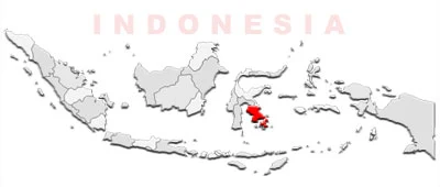 image: Southeast Sulawesi Map location