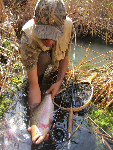 fly fishing in Iran