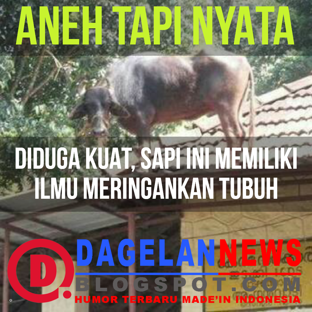 GAMBAR LUCU  ANEH  TAPI  NYATA DAGELAN DAGELAN NEWS