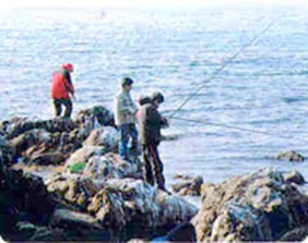 Pohang Daedongbae Fishing Ground