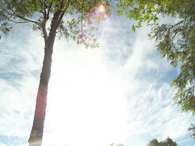 photo of sun breaking through clouds and shining rays through trees