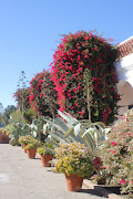 MISSION SAN LUIS REY DE FRANCIA (Oceanside, San Diego County, CA)