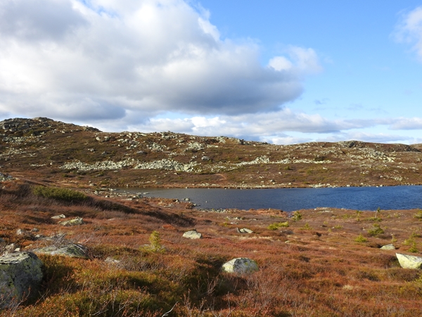 sørbølfjellet