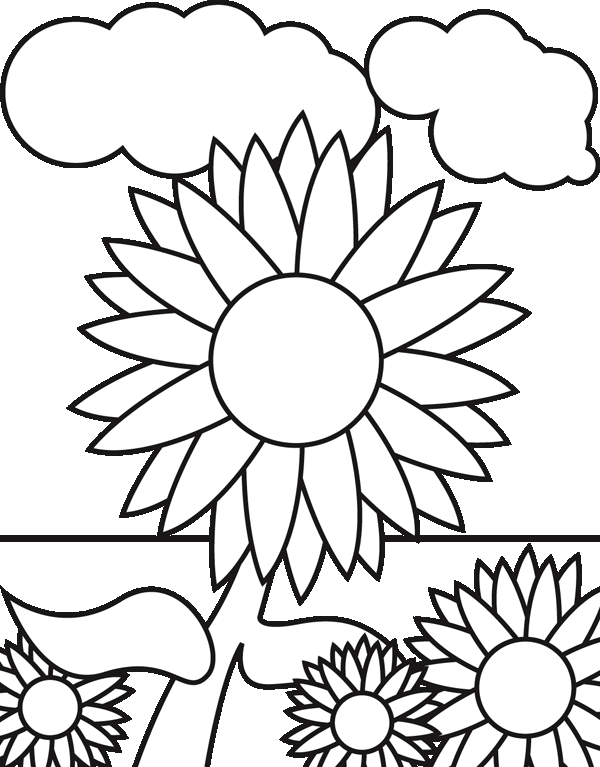 Sketsa Gambar Mewarnai Bunga Matahari