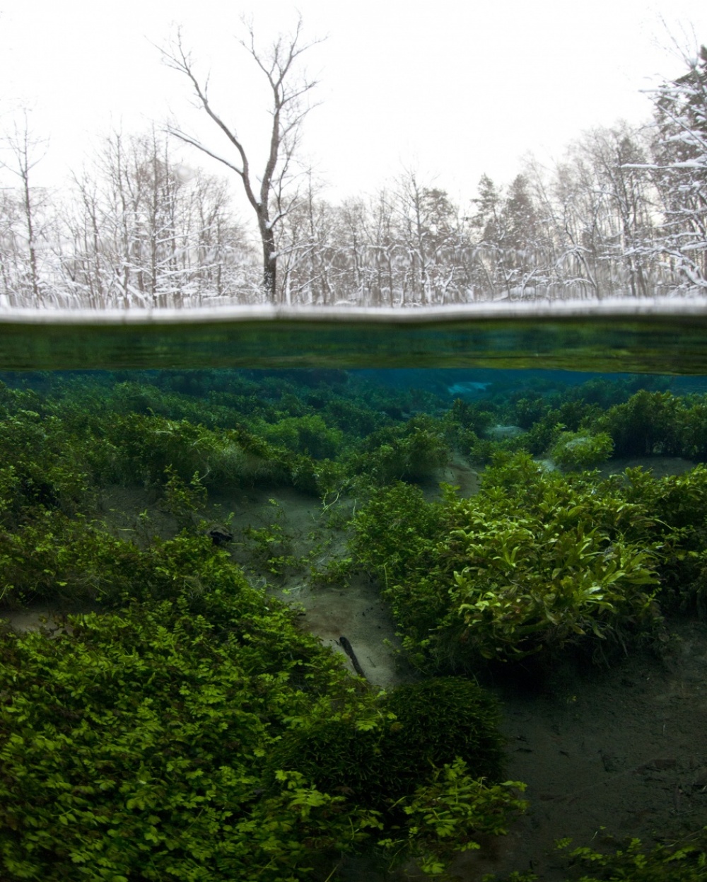 The 100 best photographs ever taken without photoshop - Winter’s abrupt arrival, Mari El, Russia