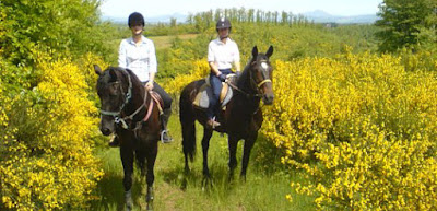 http://www.sicilyonhorseback.com