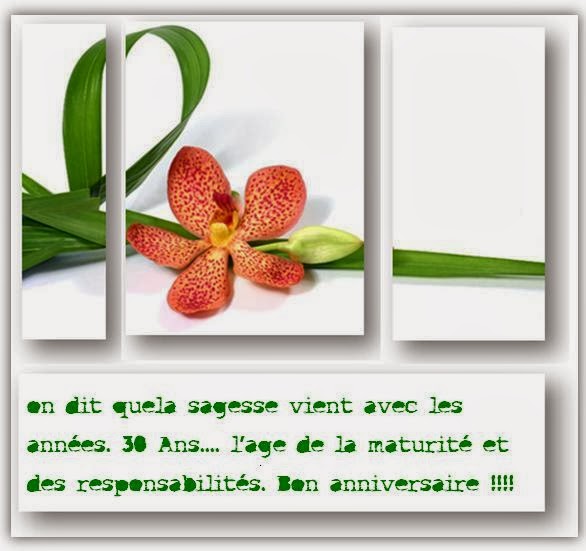 carte anniversaire humoristique imprimer