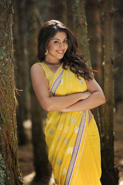 Richa Gangopadhyay Hot in Saree, Richa Gangopadhyay, Richa Gangopadhyay Hot Saree Stills, Richa Gangopadhyay Hot Saree Photos, Richa Gangopadhyay Saree Navel Photos, Richa Gangopadhyay Saree Navel Stills, Richa Gangopadhyay Saree Navel Pics, Richa Gangopadhyay Black SareeHot Photos, Richa Gangopadhyay HD wallpapers, cevrything, see everything, everything, Richa Gangopadhyay Hot wallpapers, actress Hot Photos,richa gangopadhyay black transparent saree