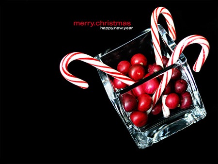 MerryChristmas2008-HappyNewYear2009