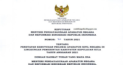 Rincian Formasi CASN Kab Kepulauan Sula P3K CPNS Tahun 2021 Rincian Formasi CASN Kab Kepulauan Sula P3K CPNS Tahun 2021