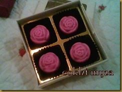 Coklat 5.3.2011 097