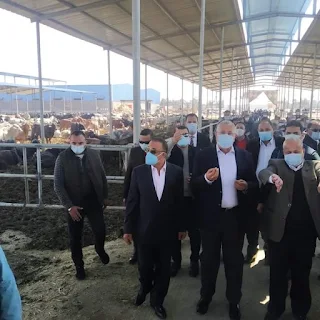 القصير ومحافظ الإسكندرية ورئيس هيئة الاستثمار يفتتحون مزرعة الإنتاج الحيواني بالنوبارية