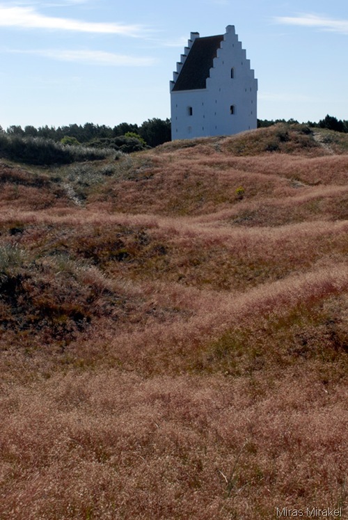 _DSC0602ts