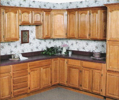 HOME DESIGN IDEAS  Oak  Kitchen  Cabinets  Design Ideas 