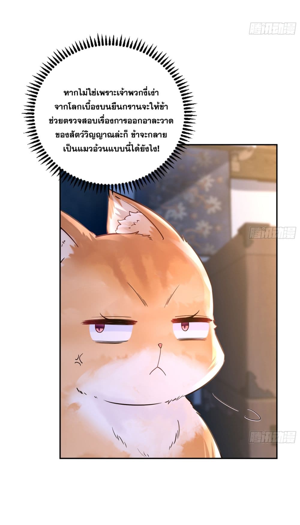 God-level Contract Start With a Cat ตอนที่ 4