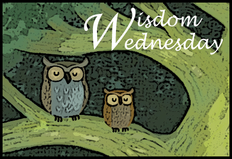 Wisdom Wednesday ~ Chlorine Shower Filter