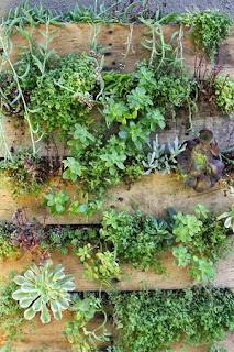 Make your own vertical garden