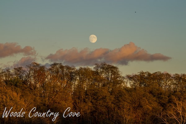 OCTOBER 2015 (22 of 23)